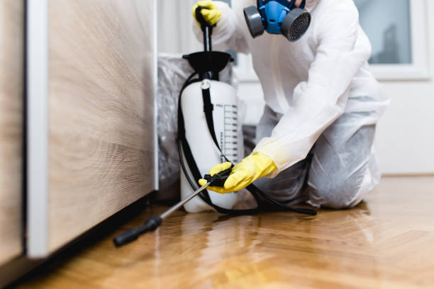 Best Pest Removal Services  in Reform, AL