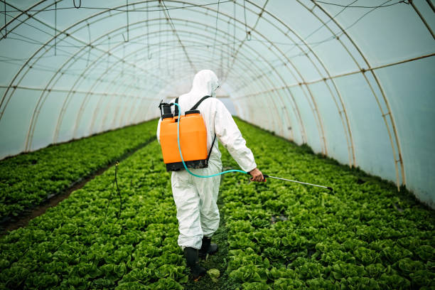 Best Commercial Pest Control Services  in Reform, AL