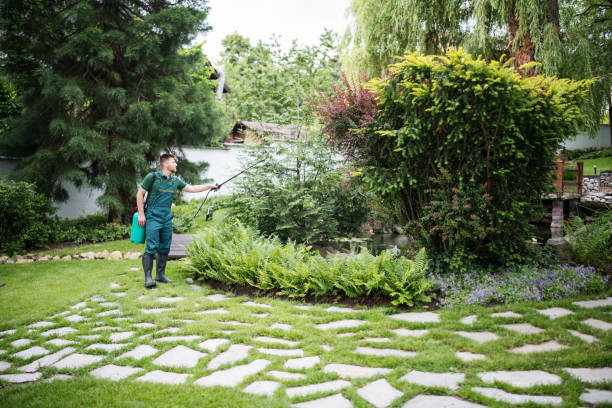 Best Wasp Removal Services  in Reform, AL