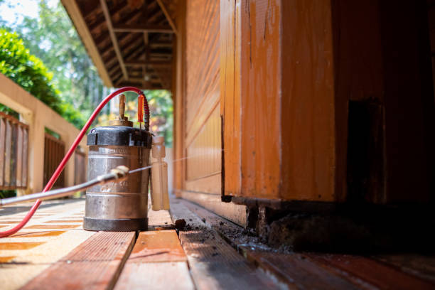 Best Termite Control Services  in Reform, AL