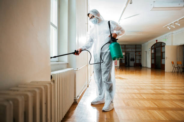 Flea Control Services in Reform, AL