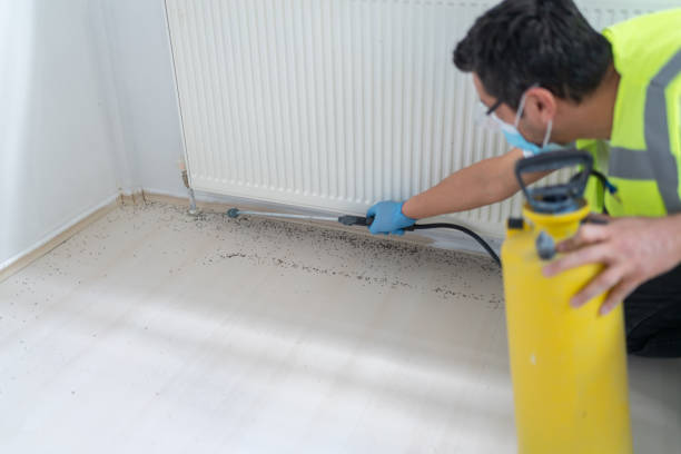 Best Pest Control Near Me  in Reform, AL