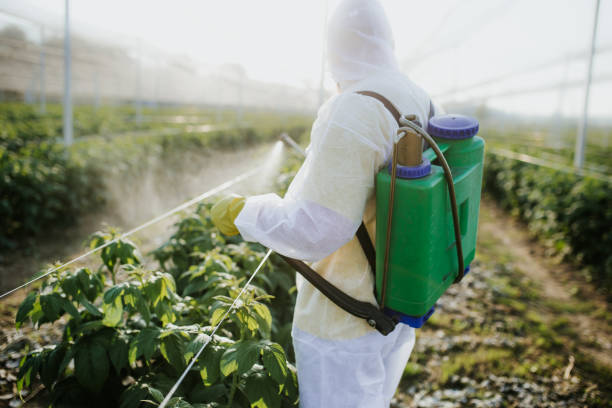 Reform, AL Pest Control Company